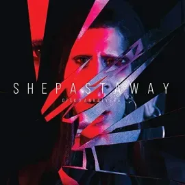 Виниловая пластинка She Past Away - Disko Anksiyete [New Vinyl LP] Black, Ltd Ed