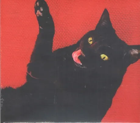 RYAN ADAMS - Big Colors (CD)