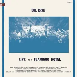 Виниловая пластинка Dr Dog - Live At A Flamingo Hotel [New Vinyl LP] Digital Download