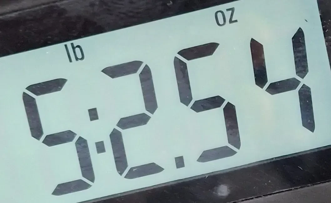 Изображение №2