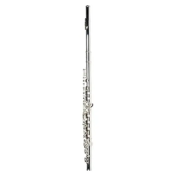 Флейта Sebastian SFL-623S