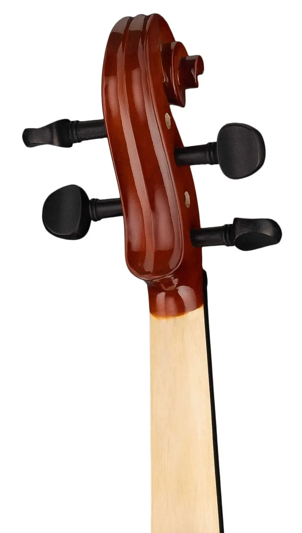 Изображение №6