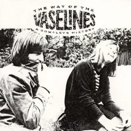 Виниловая пластинка The Vaselines – The Way of the Vaselines 2024