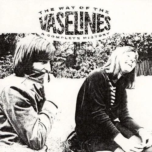 Виниловая пластинка The Vaselines – The Way of the Vaselines 2024