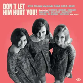 Виниловая пластинка Don't Let Him Hurt Y - Don't Let Him Hurt You! Girl Group Sounds USA 1962-1968 /