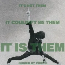 Виниловая пластинка Guided by Voices - It's Not Them. It Couldn't Be Them. It Is Them! [New Vinyl LP