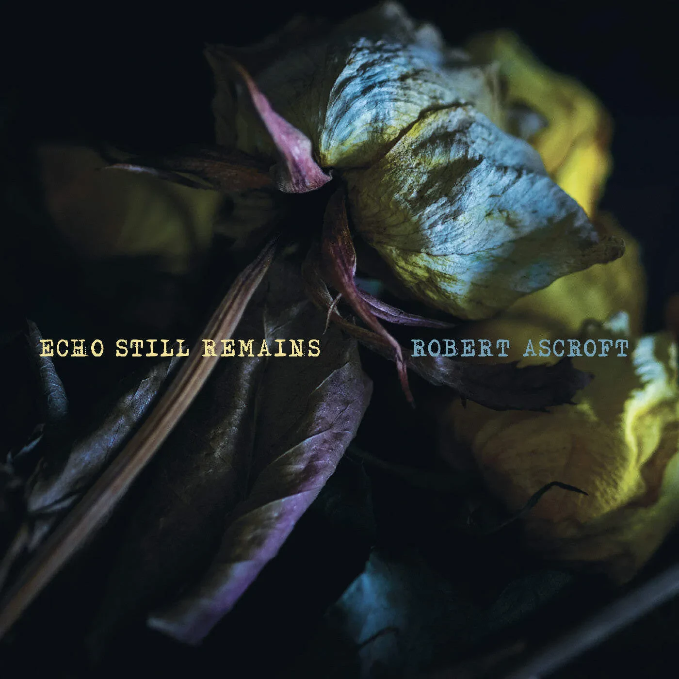 Robert Ascroft - Echo Still Remains [Custard Vinyl] NEW Vinyl