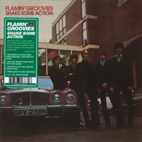 Виниловая пластинка THE FLAMIN' GROOVIES – Shake Some Action