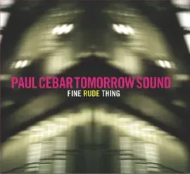 Виниловая пластинка Paul Cebar - Fine Rude Thing [New Vinyl LP]