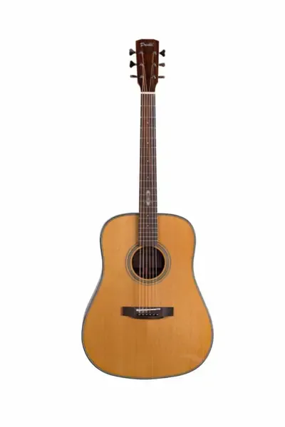 Акустическая гитара PRIMA MAG219