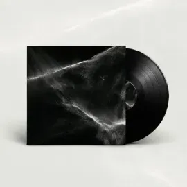 Виниловая пластинка Final Light - Final Light [New Vinyl LP]