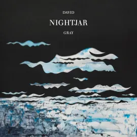 Виниловая пластинка David Gray - Nightjar NEW Vinyl LP