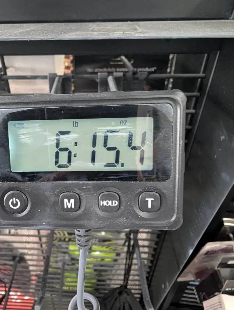 Изображение №7