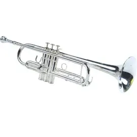 Труба BOSTON TR-250S