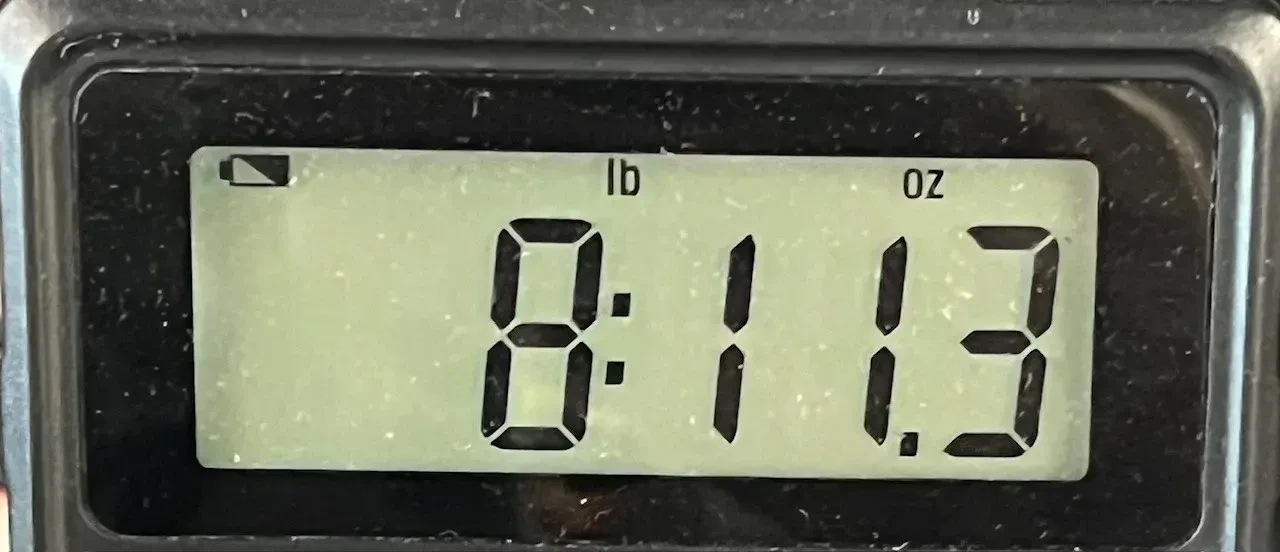 Изображение №8