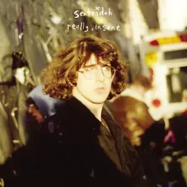 Виниловая пластинка Sentridoh – Really Insane: A Lou Barlow Compendium 2024