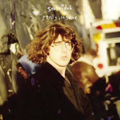 Виниловая пластинка Sentridoh – Really Insane: A Lou Barlow Compendium 2024