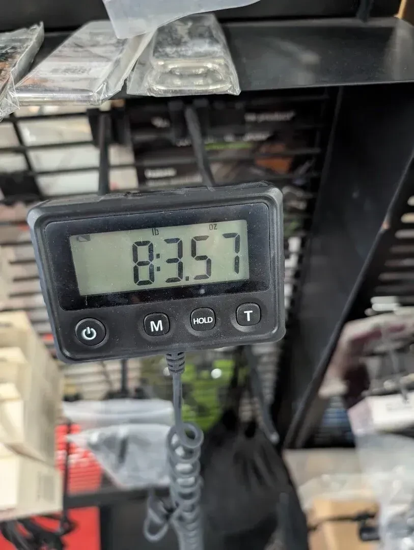 Изображение №7