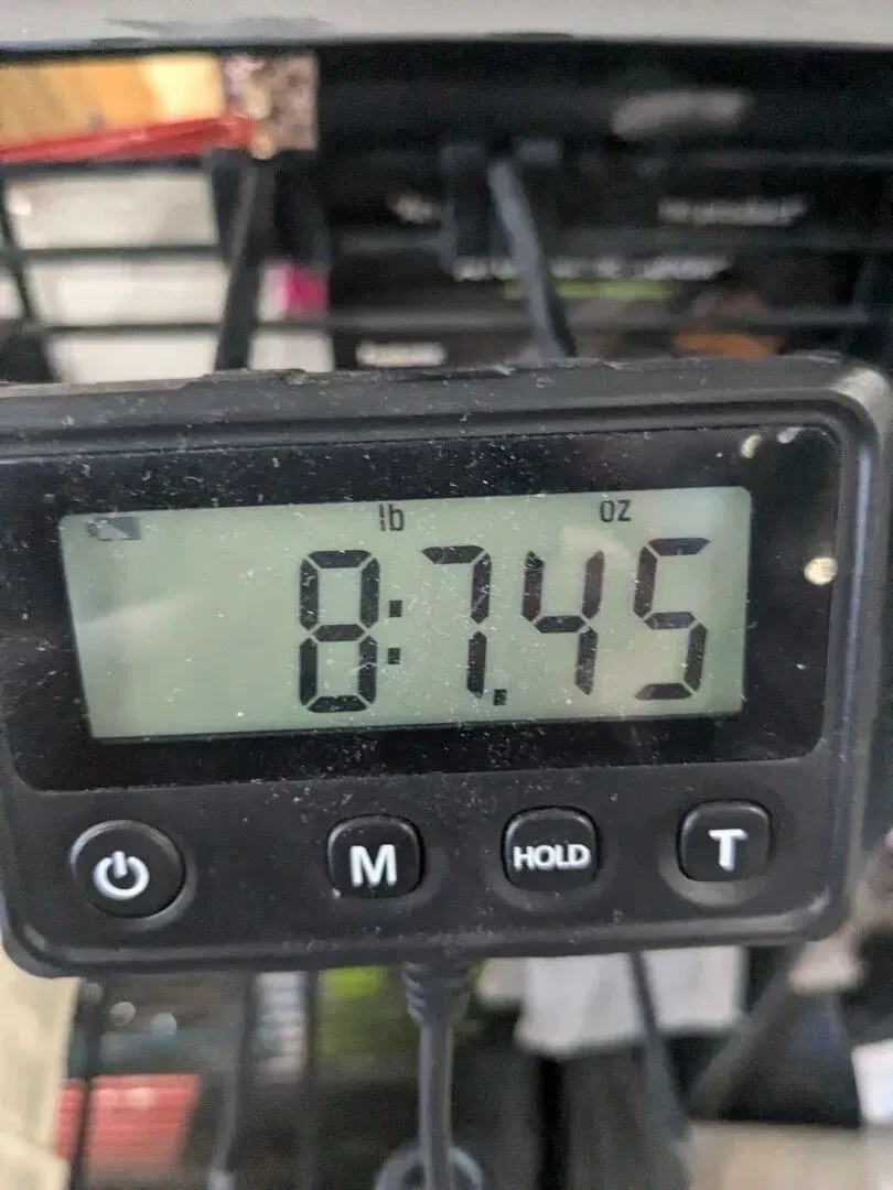 Изображение №7