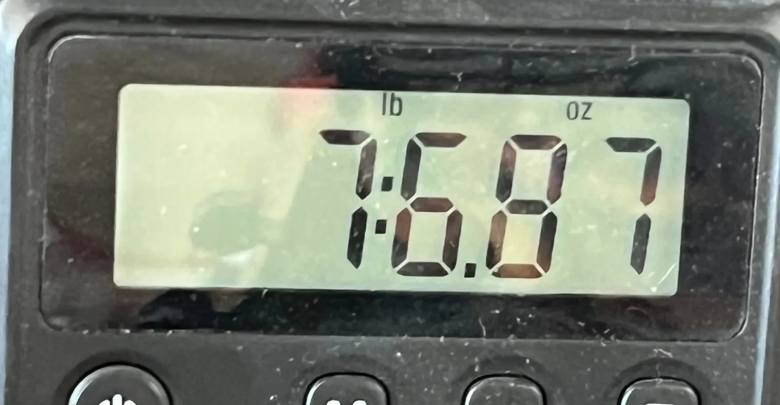 Изображение №8