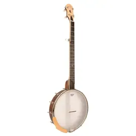 Банджо Gold Tone HM-100 High Moon 5-String Open Back Banjo w/ Case