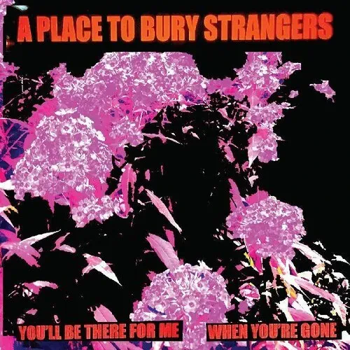 Виниловая пластинка Place to Bury Strang - You'll Be There For Me / When You're Gone [New 7" Vinyl]