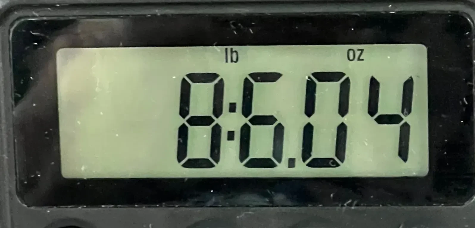 Изображение №8