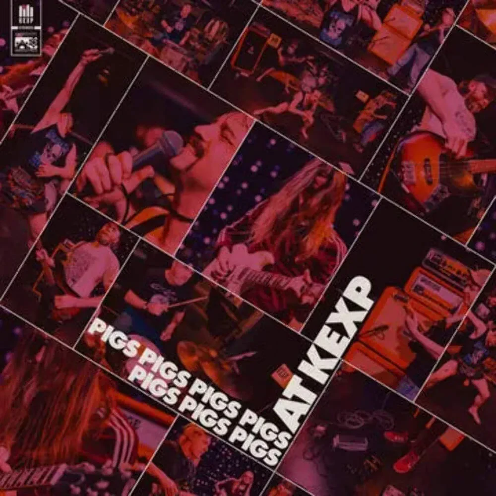 Виниловая пластинка Pigs Pigs Pigs Pigs Pigs Pigs Pigs – Live at KEXP Релиз 2024
