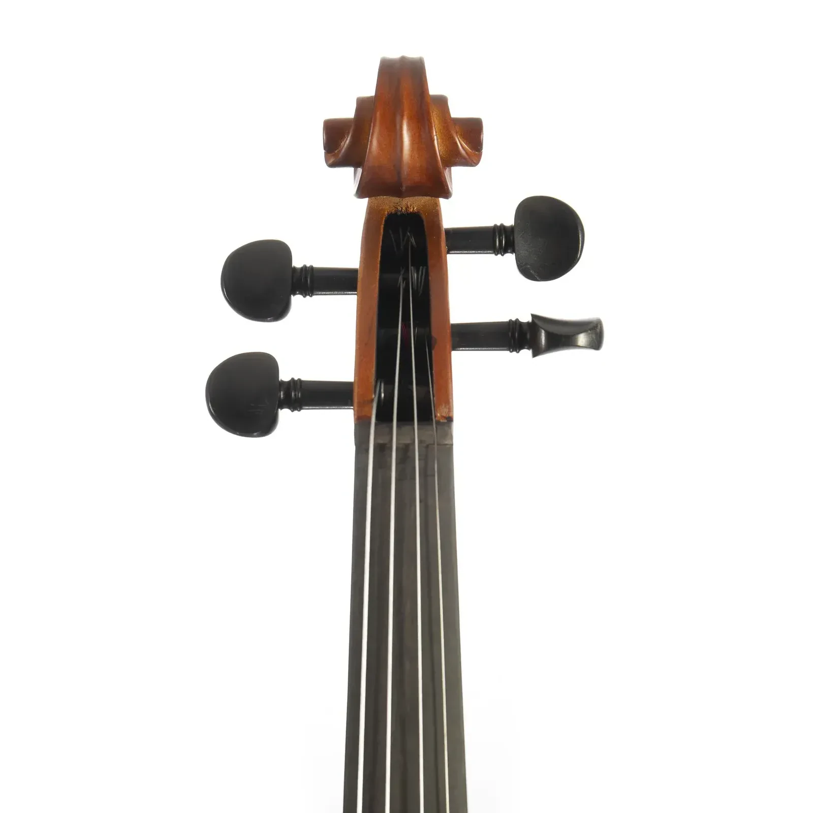 Изображение №5