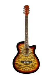 Акустическая гитара Elitaro E4030 SB Tiger