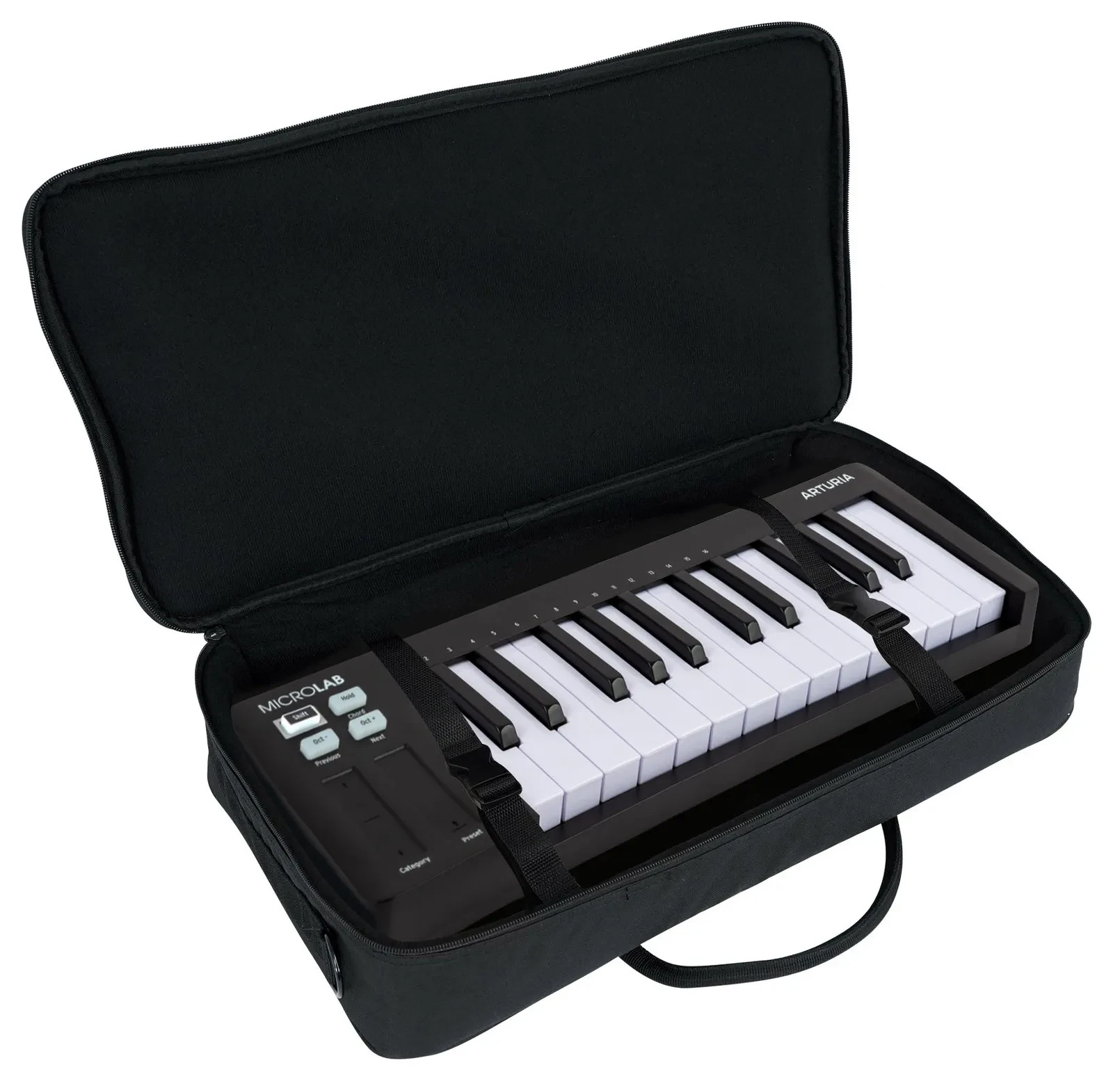 MIDI-клавиатура Arturia MICROLAB MK3 25-Key, черный, USB с кейсом