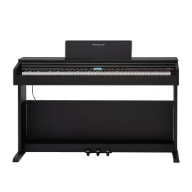 Цифровое пианино ROCKDALE ETUDE 256 BK