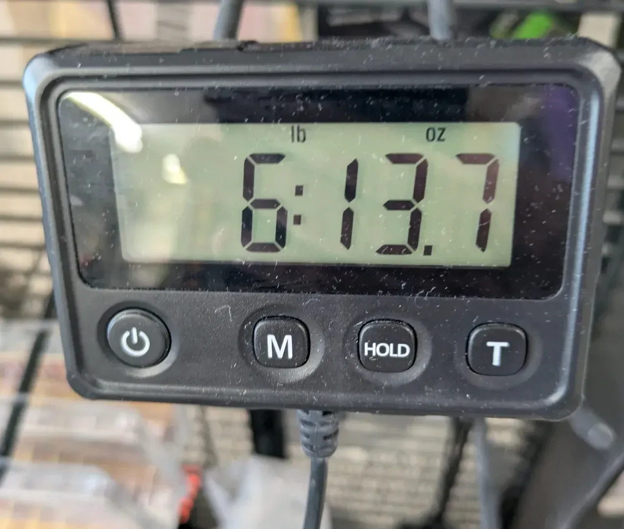 Изображение №8