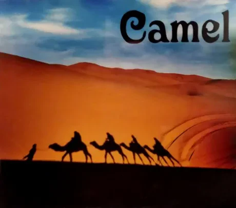 CAMEL - Live 1974-1984 (8CD+Promo Box) (8CD Box, Japan)