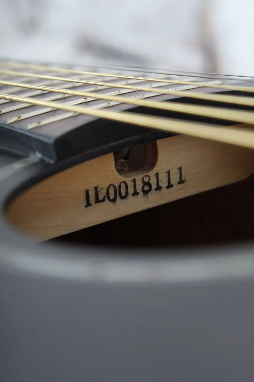 Изображение №5