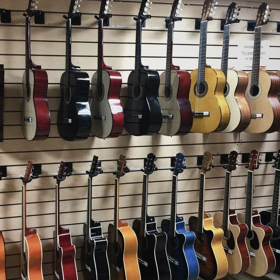 SKIFMUSIC — музыкальный магазин в Сергиевом Посаде