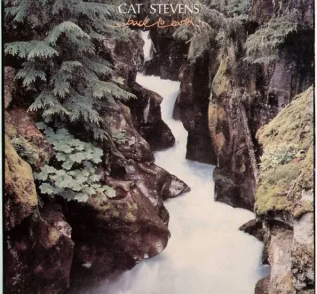 CAT STEVENS - Back To Earth (LP , Used)