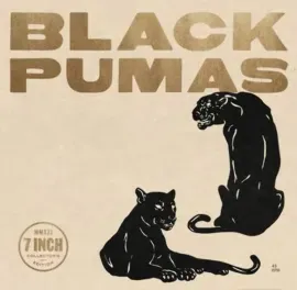 Виниловая пластинка Black Pumas – Black Pumas (набор, 6 шт.) (Релиз 2022)