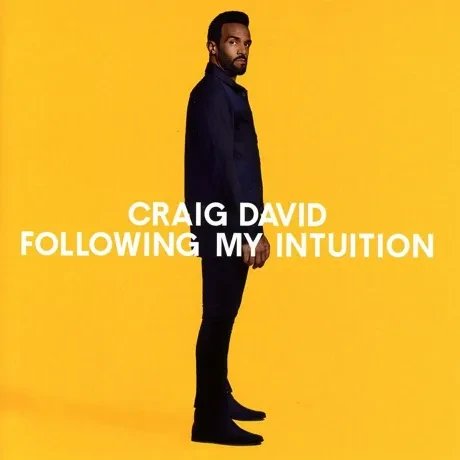CRAIG DAVID - Following My Intuition (CD)