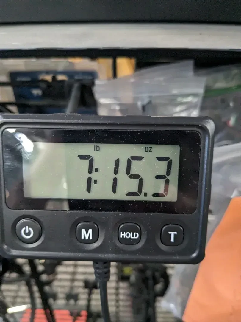 Изображение №2