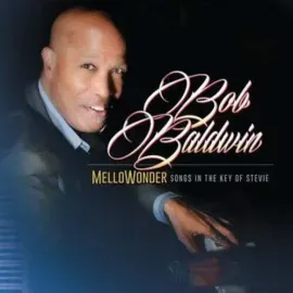 Виниловая пластинка Bob Baldwin – Mellowonder: Songs In The Key Of Stevie 2024