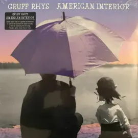 Виниловая пластинка Gruff Rhys – American Interior