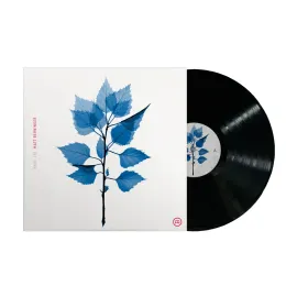 Виниловая пластинка Matt Berninger – Get Sunk 2025