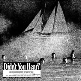 Виниловая пластинка Mort Garson – Didn't You Hear? (Релиз 1970)