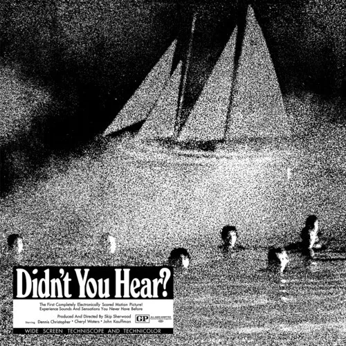 Виниловая пластинка Mort Garson – Didn't You Hear? (Релиз 1970)