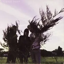 Виниловая пластинка Dignan Porch – On A Ride (Релиз 2010)