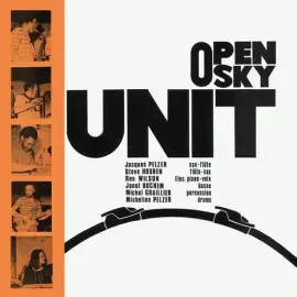 Виниловая пластинка Open Sky Unit - Open Sky Unit [New Vinyl LP] Standard Ed