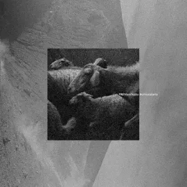 Виниловая пластинка Tr - Manifesto Rumoratorio [New Vinyl LP]