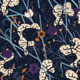 Виниловая пластинка Lyla Foy – Mirrors The Sky 2014