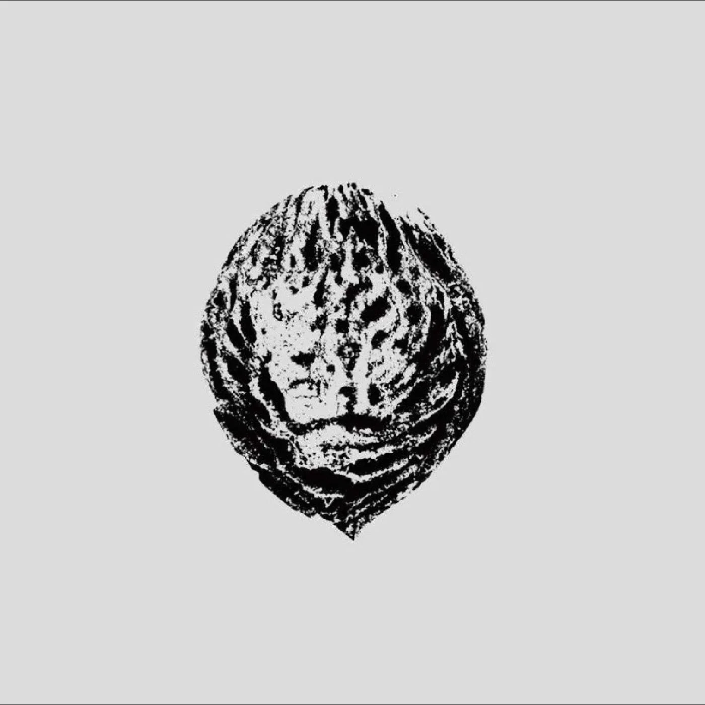 Виниловая пластинка Black Lips - Bebop Armageddon (Detours & Offcuts From Season Of The Peach)